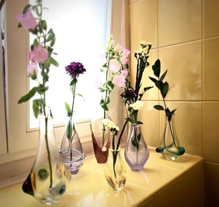 Sunny City - Apartment In Spa Zone With Private Garage 카를로비바리 외부 사진